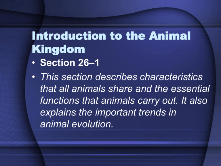 essay on animal kingdom