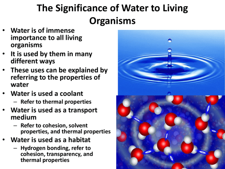 the-significance-of-water-to-living-organisms