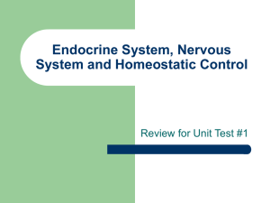 Endocrine System, Nervous System and Homeostatic Control