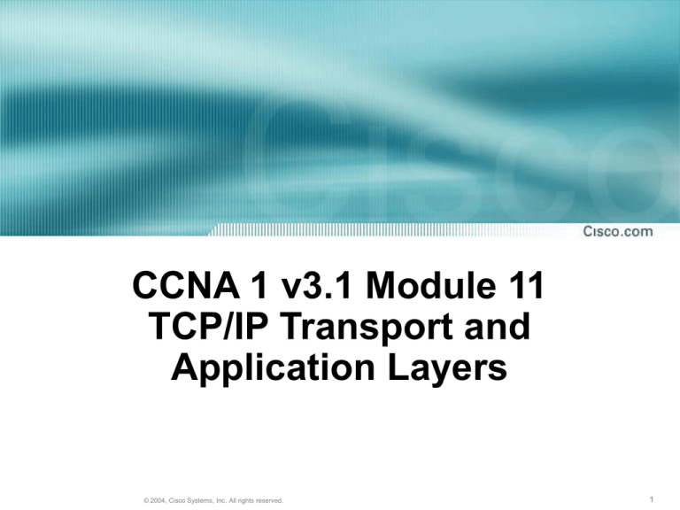 Ccna 1 Module 11 Tcp Ip Transport And Application