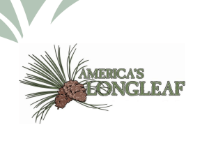 Longleaf History and Partnering Powerpoint