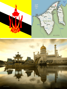 Annex 09 - Brunei presentation