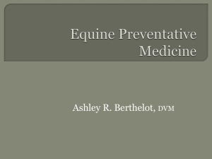 Equine Health Maintenance - Greene, Lewis & Associates