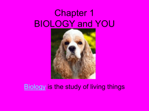 Chapter 1 BIOLOGY and YOU - Lamar County School District