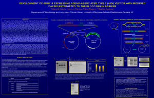 Development of ADNF14-expressing adeno-associated virus type