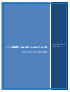 First UNDAF Annual Review Report