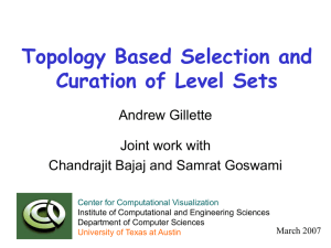 Topological Curation of Level Sets