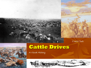 Cattle Drive's