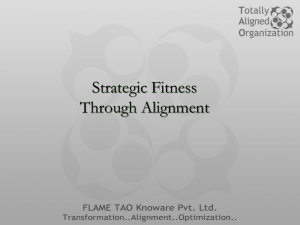 Strategic Fitness - FLAME TAO Knoware