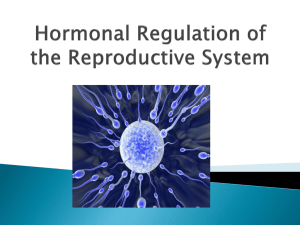 Hormonal Regulation of the Reproductive System