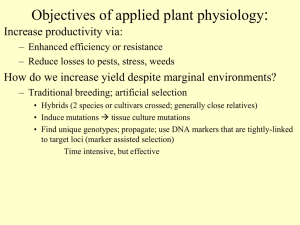 How do we increase yield despite marginal environmental conditions?