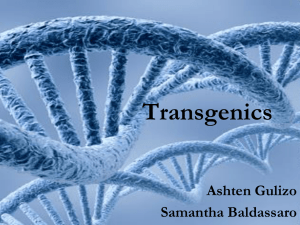 Transgenics Samantha and Ashten