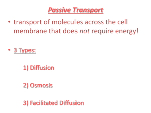 Passive Transport: transport of molecules across the cell membrane