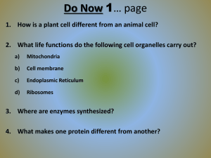 Cell Membrane - My Teacher Pages