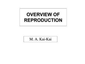 L1 Overview of reproduction