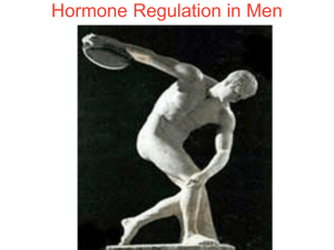 Hormone Regulation in Men