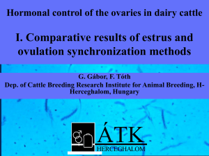 Hormonal control of the ovaries in dairy cattle I. Comparative results