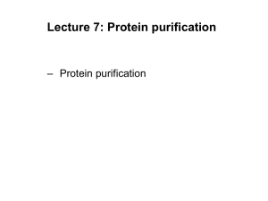 Lecture 7: Protein purification