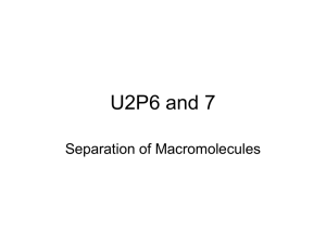 U2P6 and 7