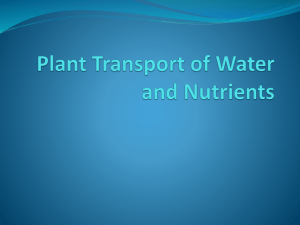 Plant Transport of Water and Nutrients