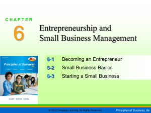 Principles of Business, 8e CHAPTE R 6 SMALL BUSINESS