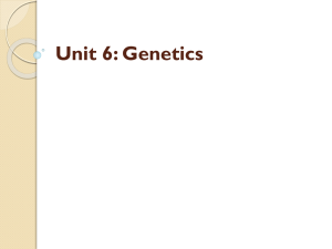 Unit 6: Genetics