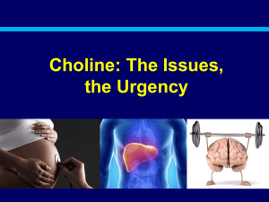 Choline - The Choline Information Council