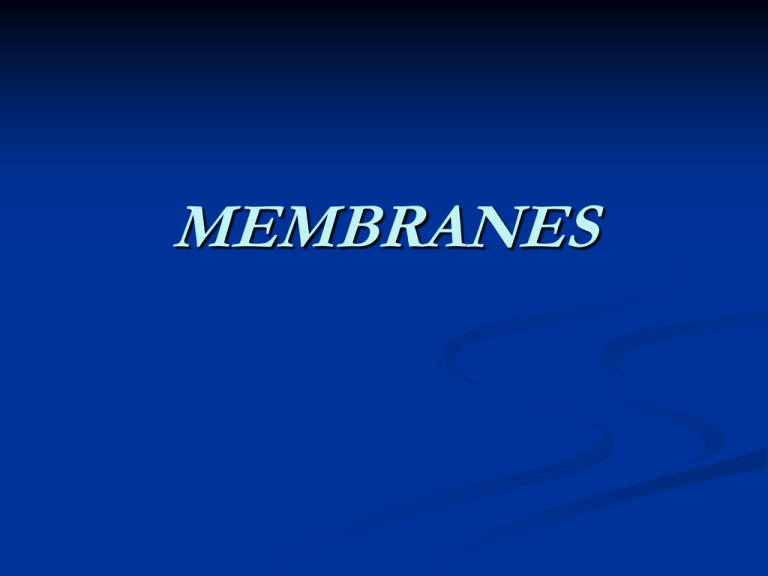 MEMBRANES Discovering the Composition of