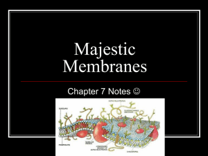 Majestic Membranes