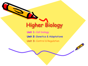 Higher Biology