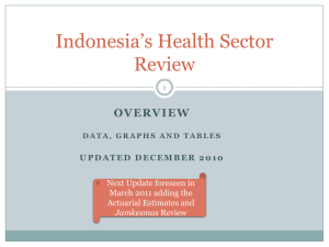 The Indonesian Health System