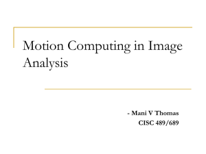 Optic Flow Constraints in Image Matching