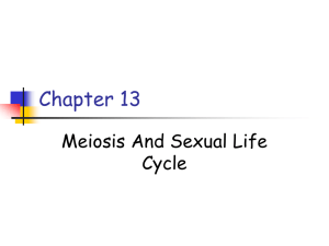 Chapter 1 Notes - Biology Junction