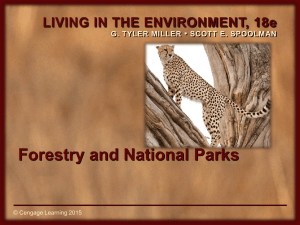Forest PPT - Mrs Blanks APES