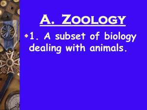 Zoology - Images