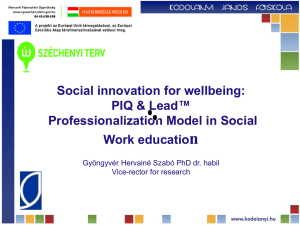 PIQ & Lead™ Professionalization Model in Social Work education