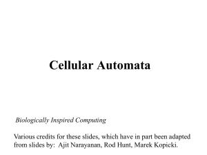 Cellular Automata - Mathematical & Computer Sciences