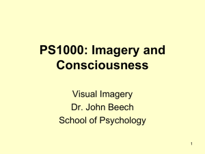 Imagery and Consciousness