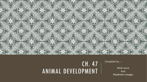 Ch. 47 Animal Development