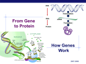 Chapter 17. - Explore Biology