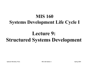 Lecture 1: Output/Input Design Structured Systems Development