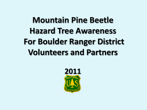 Mountain Pine Beetle Hazard Tree Awareness IPWA Volunteers 2011