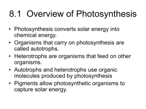 8.1 Overview of Photosynthesis