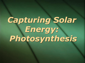 Photosynthesis