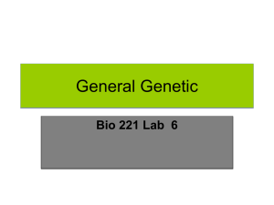 lab 6 genetics