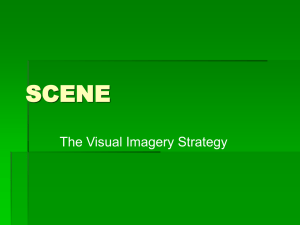 Visual Imagery Strategy