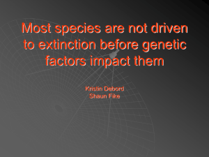 Most species are not driven to extinction before genetic factors