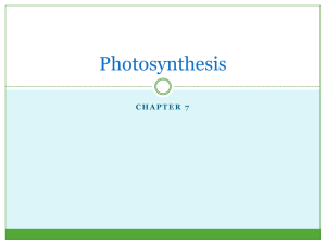 Photosynthesis - Dr. Wall's Science