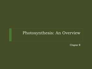 8.2 Photosynthesis: An Overview