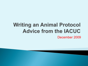 Writing an Animal Protocol